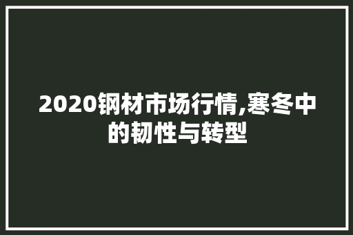 2020钢材市场行情,寒冬中的韧性与转型