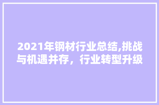 2021年钢材行业总结,挑战与机遇并存，行业转型升级加速