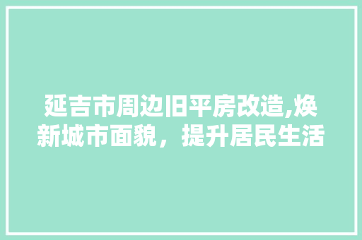 延吉市周边旧平房改造,焕新城市面貌，提升居民生活品质