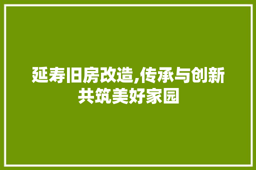 延寿旧房改造,传承与创新共筑美好家园