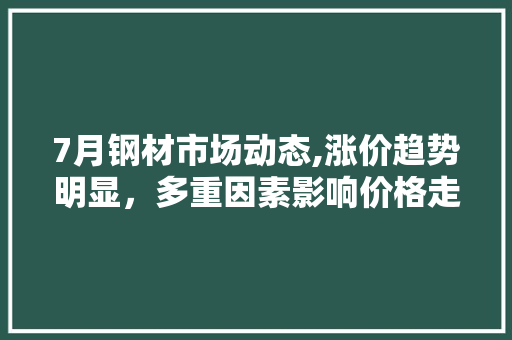 7月钢材市场动态,涨价趋势明显，多重因素影响价格走势
