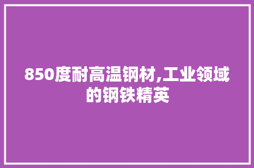 850度耐高温钢材,工业领域的钢铁精英 门窗装修