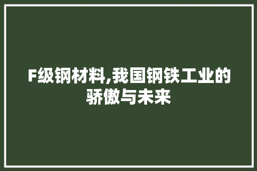 F级钢材料,我国钢铁工业的骄傲与未来 地面装修