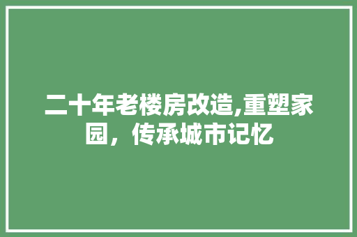 二十年老楼房改造,重塑家园，传承城市记忆