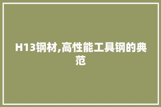 H13钢材,高性能工具钢的典范