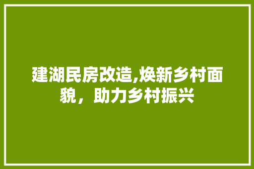建湖民房改造,焕新乡村面貌，助力乡村振兴