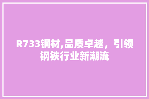 R733钢材,品质卓越，引领钢铁行业新潮流