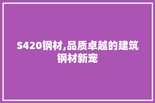 S420钢材,品质卓越的建筑钢材新宠