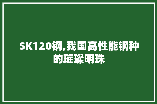 SK120钢,我国高性能钢种的璀璨明珠