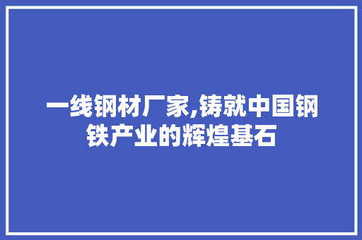 一线钢材厂家,铸就中国钢铁产业的辉煌基石