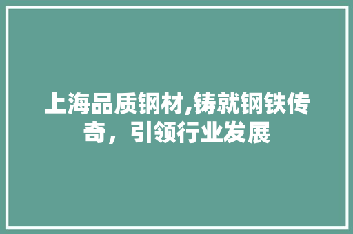 上海品质钢材,铸就钢铁传奇，引领行业发展