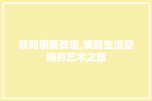 建阳厨房改造,焕新生活空间的艺术之旅