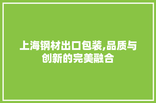 上海钢材出口包装,品质与创新的完美融合