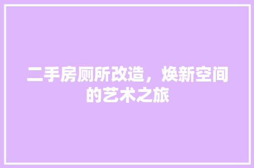 二手房厕所改造，焕新空间的艺术之旅
