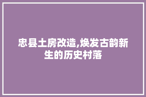 忠县土房改造,焕发古韵新生的历史村落
