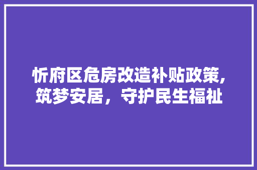 忻府区危房改造补贴政策,筑梦安居，守护民生福祉