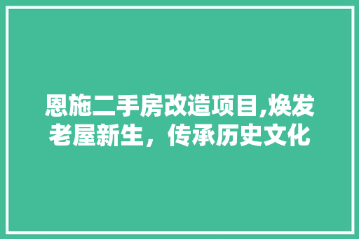 恩施二手房改造项目,焕发老屋新生，传承历史文化