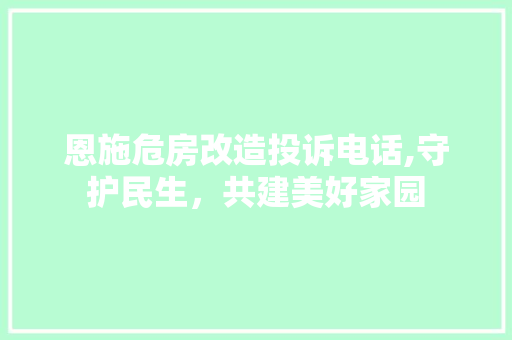 恩施危房改造投诉电话,守护民生，共建美好家园