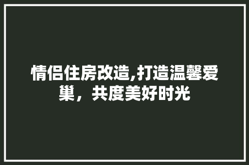 情侣住房改造,打造温馨爱巢，共度美好时光