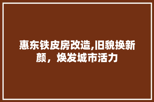 惠东铁皮房改造,旧貌换新颜，焕发城市活力