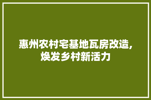 惠州农村宅基地瓦房改造,焕发乡村新活力