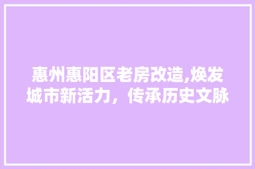 惠州惠阳区老房改造,焕发城市新活力，传承历史文脉