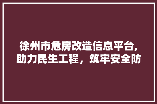 徐州市危房改造信息平台,助力民生工程，筑牢安全防线