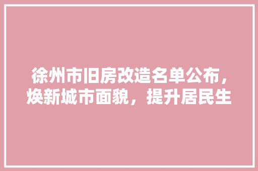 徐州市旧房改造名单公布，焕新城市面貌，提升居民生活品质