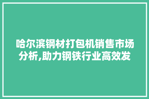 哈尔滨钢材打包机销售市场分析,助力钢铁行业高效发展