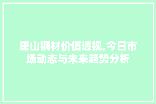 唐山钢材价值透视,今日市场动态与未来趋势分析