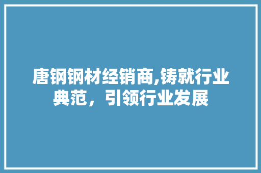 唐钢钢材经销商,铸就行业典范，引领行业发展