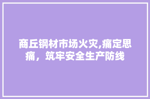 商丘钢材市场火灾,痛定思痛，筑牢安全生产防线