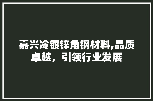 嘉兴冷镀锌角钢材料,品质卓越，引领行业发展
