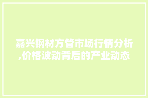 嘉兴钢材方管市场行情分析,价格波动背后的产业动态