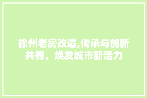 徐州老房改造,传承与创新共舞，焕发城市新活力