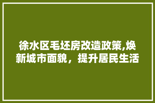 徐水区毛坯房改造政策,焕新城市面貌，提升居民生活品质