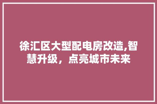 徐汇区大型配电房改造,智慧升级，点亮城市未来