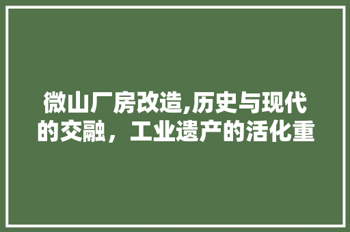 微山厂房改造,历史与现代的交融，工业遗产的活化重生