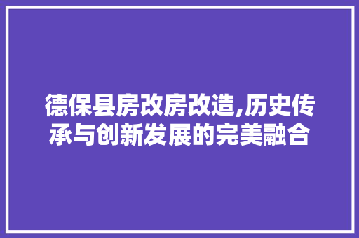 德保县房改房改造,历史传承与创新发展的完美融合
