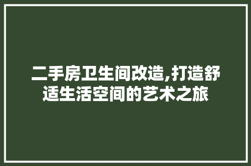 二手房卫生间改造,打造舒适生活空间的艺术之旅