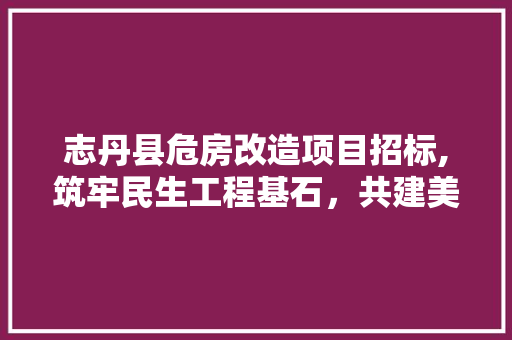 志丹县危房改造项目招标,筑牢民生工程基石，共建美好家园