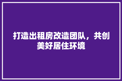 打造出租房改造团队，共创美好居住环境