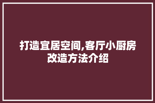 打造宜居空间,客厅小厨房改造方法介绍