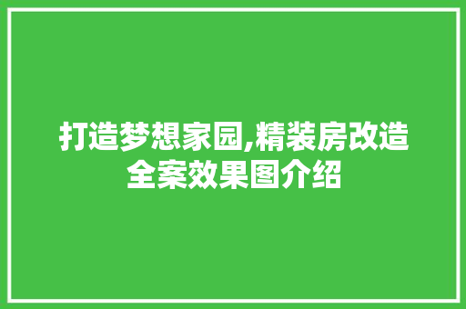打造梦想家园,精装房改造全案效果图介绍