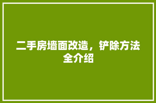 二手房墙面改造，铲除方法全介绍