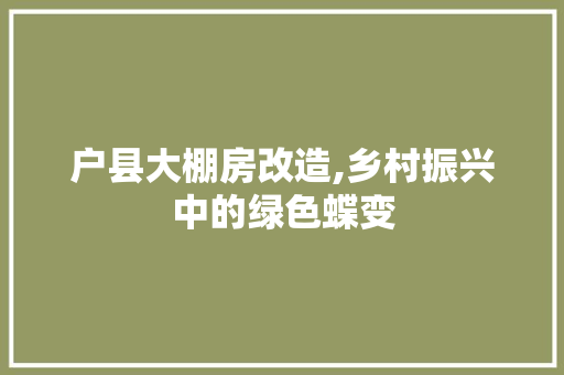 户县大棚房改造,乡村振兴中的绿色蝶变