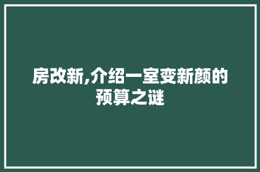 房改新,介绍一室变新颜的预算之谜