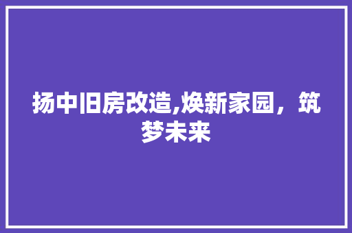 扬中旧房改造,焕新家园，筑梦未来