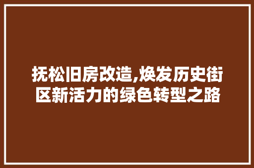 抚松旧房改造,焕发历史街区新活力的绿色转型之路