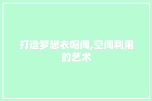 打造梦想衣帽间,空间利用的艺术